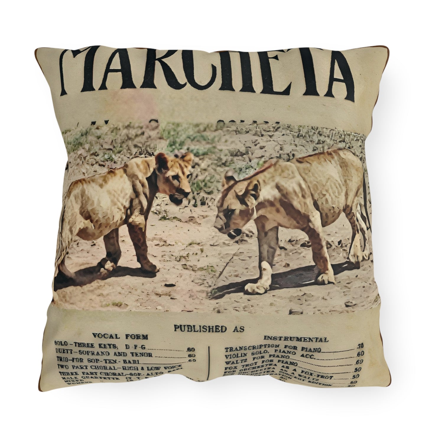 Vintage Wildlife Outdoor Pillows - Lion Art Print for Nature Lovers