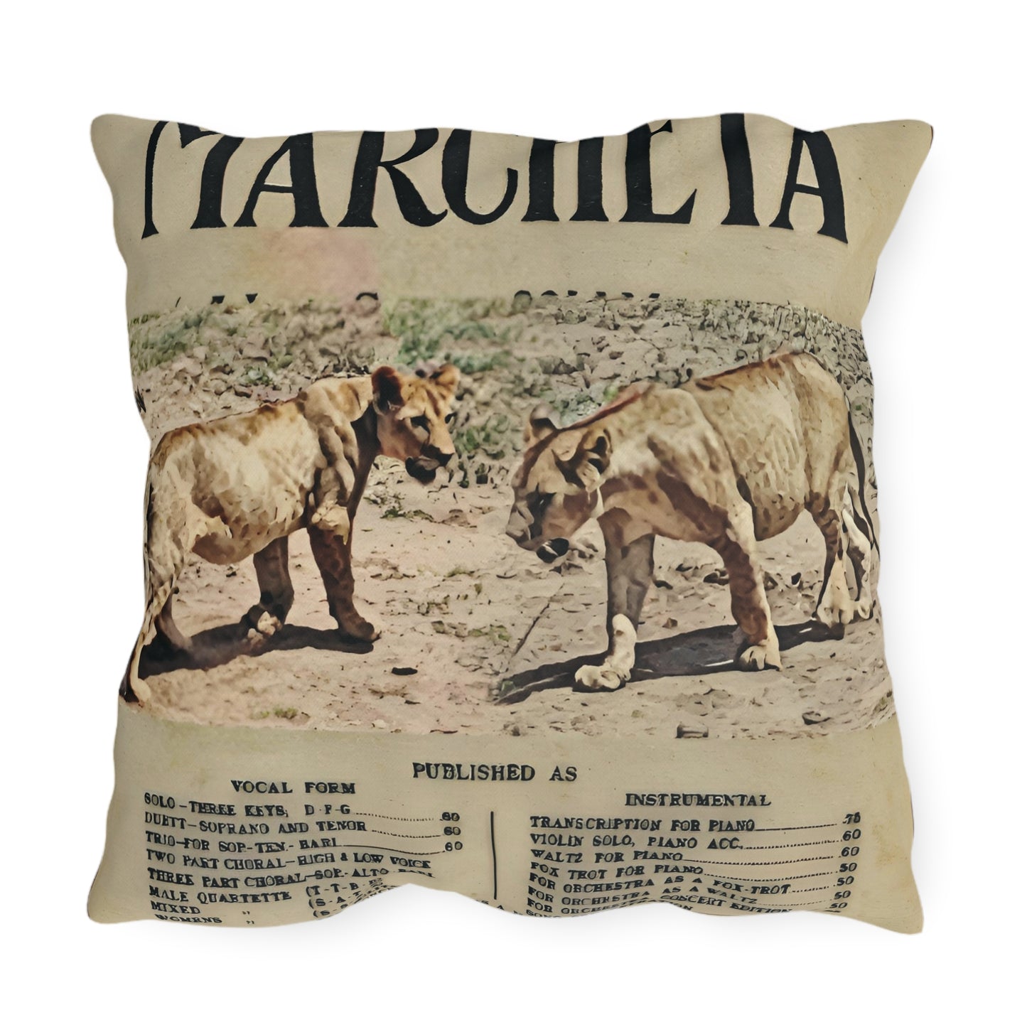 Vintage Wildlife Outdoor Pillows - Lion Art Print for Nature Lovers