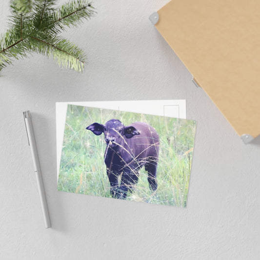Charming Carabo Fine Art Postcards - Nature-Inspired Greeting Cards